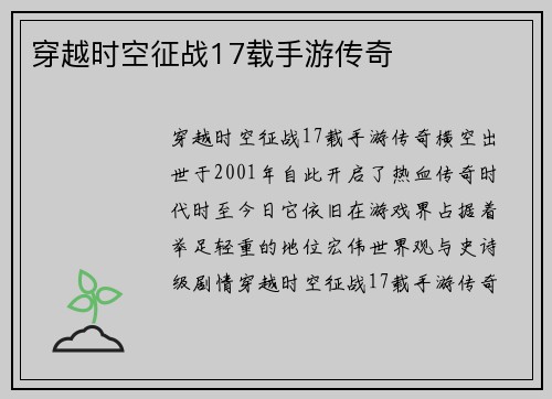 穿越时空征战17载手游传奇